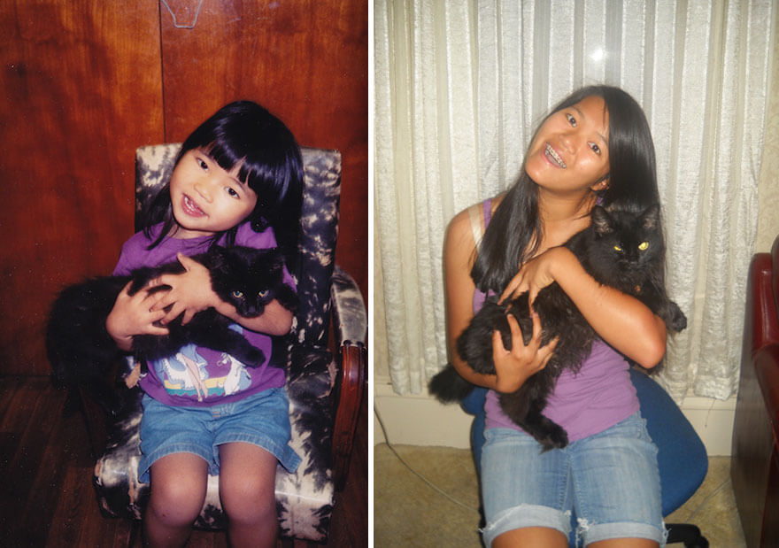 before-and-after-growing-up-cats-31__880