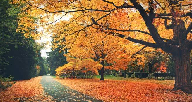  5 Ottime Ragioni per amare l’Autunno