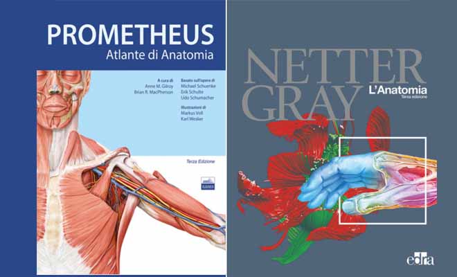  Anatomia: Su quali libri studiare per preparare l’esame?