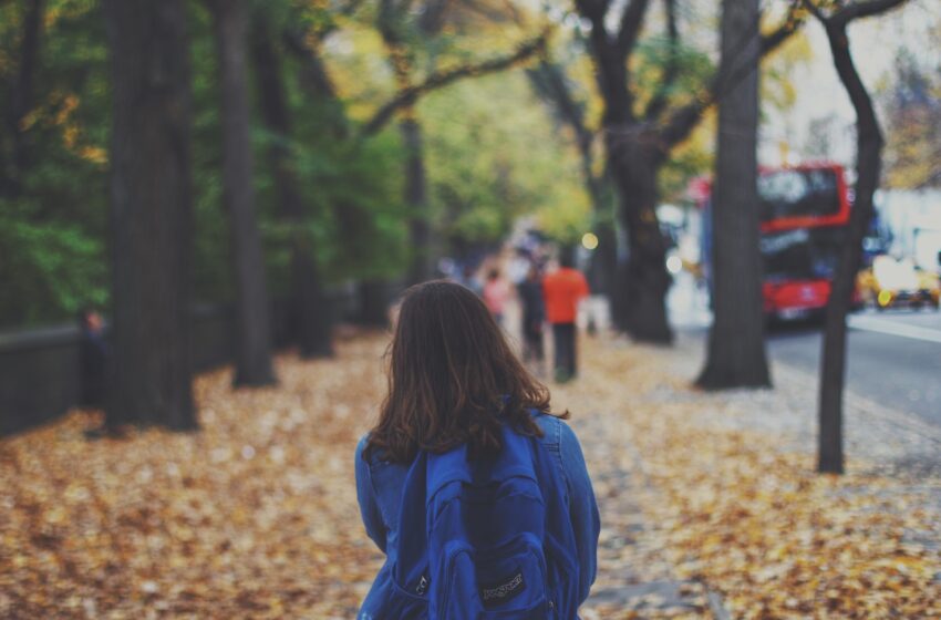  Zaino Scuola Elementare: Quali Sono i Migliori?